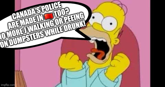 CANADA'S POLICE ARE MADE IN ?? TOO?
NO MORE J WALKING OR PEEING ON DUMPSTERS WHILE DRUNK! | made w/ Imgflip meme maker