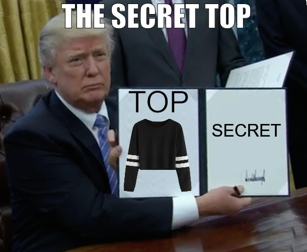 THEY SAY ITS JUST A TOP AND THEY WILL NOT TELL US WHAT ELSE! | THE SECRET TOP; TOP; SECRET | image tagged in memes,trump bill signing | made w/ Imgflip meme maker