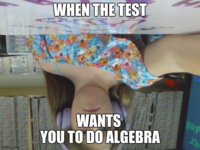 repost all my stuff in repost including this | WHEN THE TEST; WANTS 
YOU TO DO ALGEBRA | image tagged in confused i_made_yeetus_badidus | made w/ Imgflip meme maker