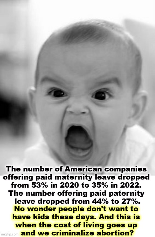 Kids | The number of American companies 
offering paid maternity leave dropped 
from 53% in 2020 to 35% in 2022. 
The number offering paid paternity 
leave dropped from 44% to 27%. No wonder people don't want to 
have kids these days. And this is 
when the cost of living goes up 
and we criminalize abortion? | image tagged in memes,angry baby,parents,leave,inflation,abortion | made w/ Imgflip meme maker