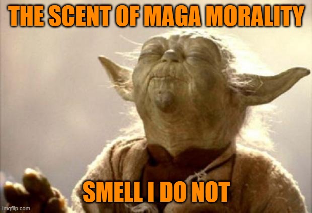yoda smell | THE SCENT OF MAGA MORALITY SMELL I DO NOT | image tagged in yoda smell | made w/ Imgflip meme maker