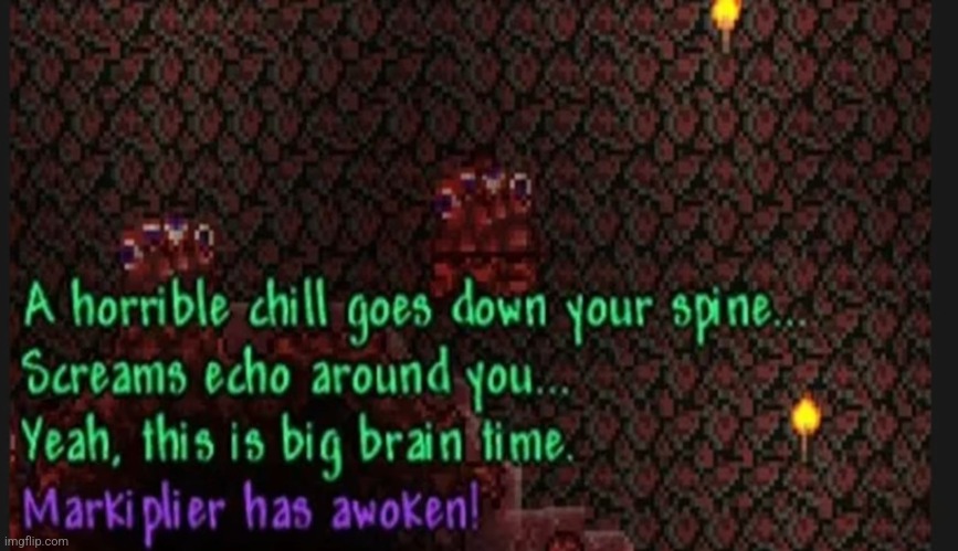 Brain of Markiplier | image tagged in terraria | made w/ Imgflip meme maker