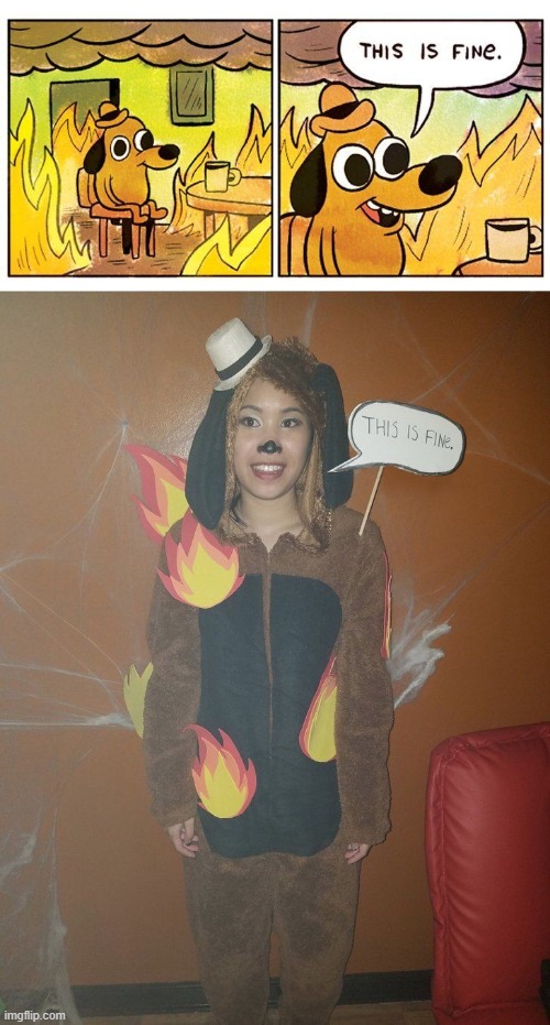 image tagged in filter | made w/ Imgflip meme maker