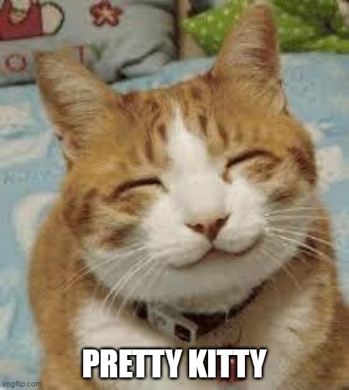 Happy cat | PRETTY KITTY | image tagged in happy cat | made w/ Imgflip meme maker