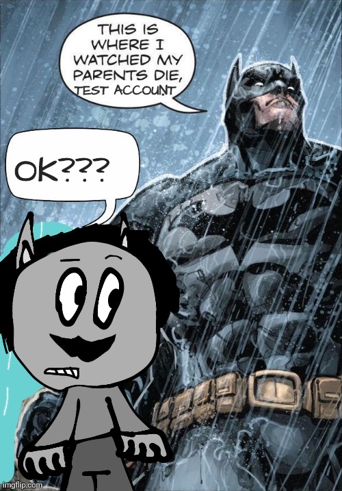 TEST ACCOUNT; OK??? | made w/ Imgflip meme maker