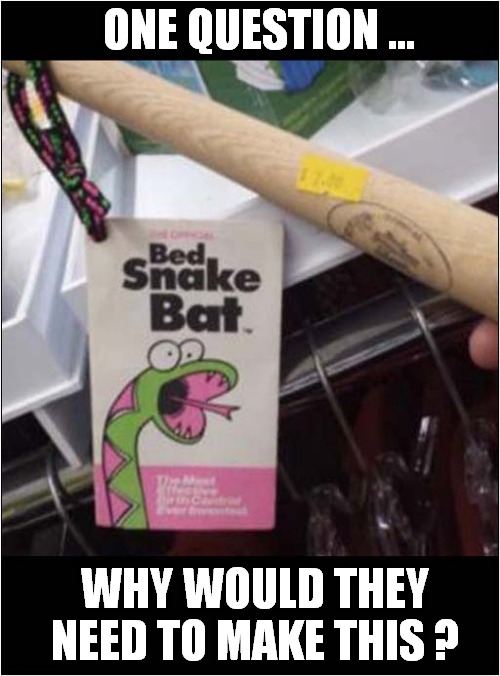 Bed Snake Bat ? | ONE QUESTION ... WHY WOULD THEY NEED TO MAKE THIS ? | image tagged in snakes,bed,bats | made w/ Imgflip meme maker