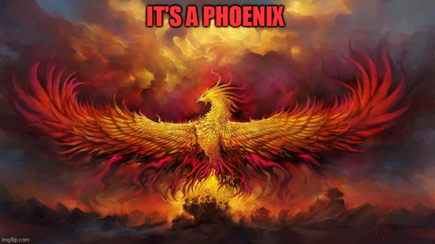IT'S A PHOENIX | made w/ Imgflip meme maker
