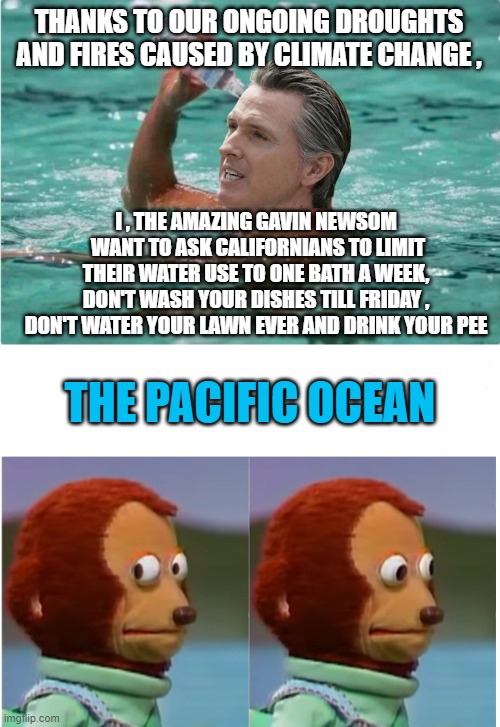 Liberal hypocrisy and stupidity | THANKS TO OUR ONGOING DROUGHTS AND FIRES CAUSED BY CLIMATE CHANGE , I , THE AMAZING GAVIN NEWSOM  WANT TO ASK CALIFORNIANS TO LIMIT THEIR WATER USE TO ONE BATH A WEEK, DON'T WASH YOUR DISHES TILL FRIDAY , DON'T WATER YOUR LAWN EVER AND DRINK YOUR PEE; THE PACIFIC OCEAN | image tagged in waterbottle swimmer,monkey puppet looking away good quality | made w/ Imgflip meme maker