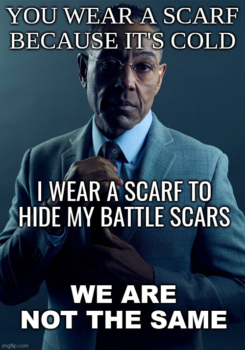 lol | YOU WEAR A SCARF BECAUSE IT'S COLD; I WEAR A SCARF TO HIDE MY BATTLE SCARS; WE ARE NOT THE SAME | image tagged in gus fring we are not the same | made w/ Imgflip meme maker