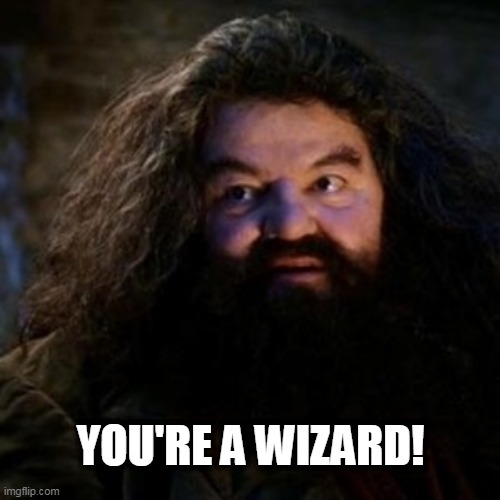 You're a wizard harry | YOU'RE A WIZARD! | image tagged in you're a wizard harry | made w/ Imgflip meme maker