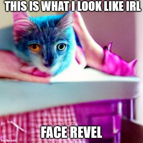 lol | THIS IS WHAT I LOOK LIKE IRL; FACE REVEL | made w/ Imgflip meme maker