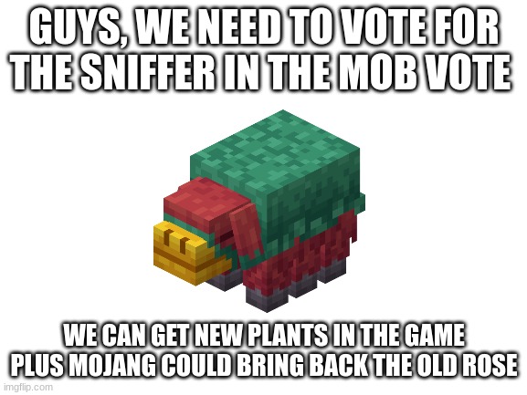 vote for the sniffer now | GUYS, WE NEED TO VOTE FOR THE SNIFFER IN THE MOB VOTE; WE CAN GET NEW PLANTS IN THE GAME PLUS MOJANG COULD BRING BACK THE OLD ROSE | image tagged in blank white template,vote4sniffer,sniffer2022 | made w/ Imgflip meme maker