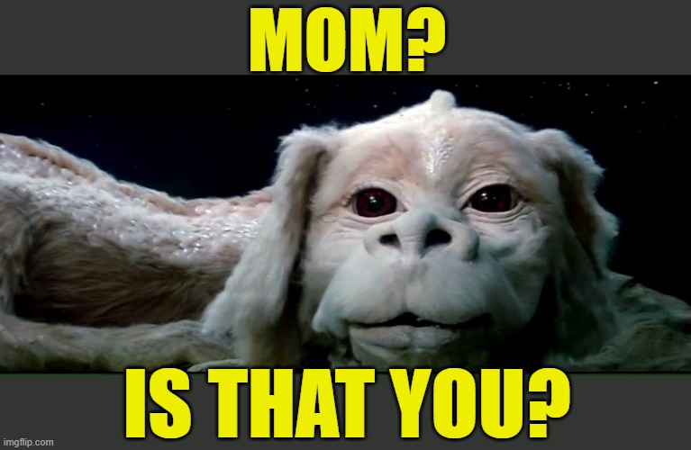 Falkor the Luck Dragon | MOM? IS THAT YOU? | image tagged in falkor the luck dragon | made w/ Imgflip meme maker