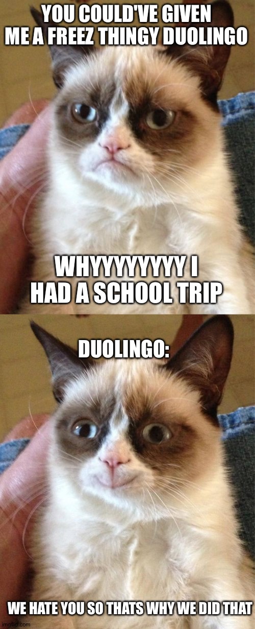 YOU COULD'VE GIVEN ME A FREEZ THINGY DUOLINGO; WHYYYYYYYY I HAD A SCHOOL TRIP; DUOLINGO:; WE HATE YOU SO THATS WHY WE DID THAT | image tagged in memes,grumpy cat,grumpy cat happy | made w/ Imgflip meme maker