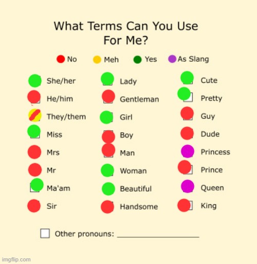 version2 | image tagged in pronouns sheet | made w/ Imgflip meme maker