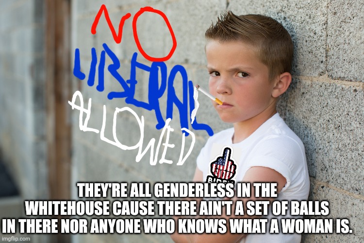 THEY'RE ALL GENDERLESS IN THE WHITEHOUSE CAUSE THERE AIN'T A SET OF BALLS IN THERE NOR ANYONE WHO KNOWS WHAT A WOMAN IS. | made w/ Imgflip meme maker