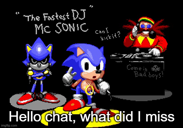 Sonic CD rapper image | Hello chat, what did I miss | image tagged in sonic cd rapper image | made w/ Imgflip meme maker