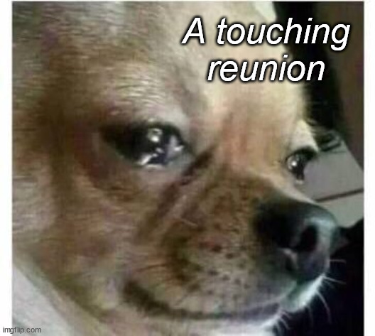 crying dog | A touching reunion | image tagged in crying dog | made w/ Imgflip meme maker