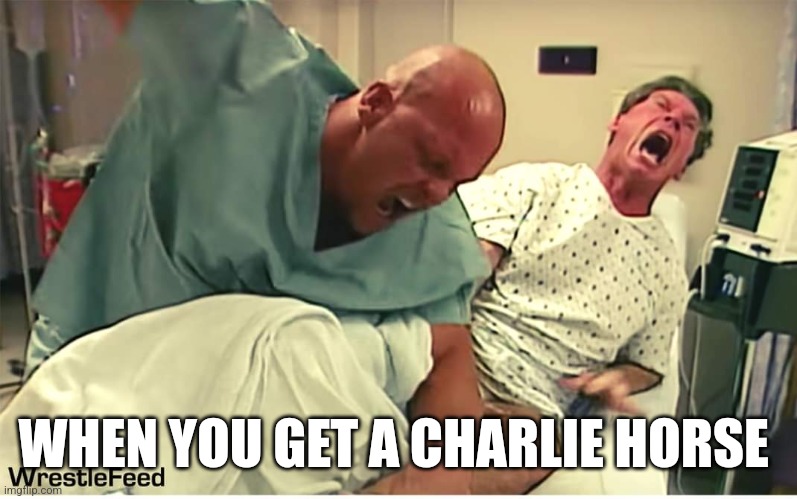 I hate when this happens | WHEN YOU GET A CHARLIE HORSE | image tagged in wwe,stone cold steve austin | made w/ Imgflip meme maker