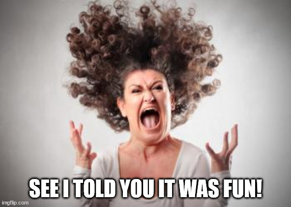 Angry mom | SEE I TOLD YOU IT WAS FUN! | image tagged in angry mom | made w/ Imgflip meme maker