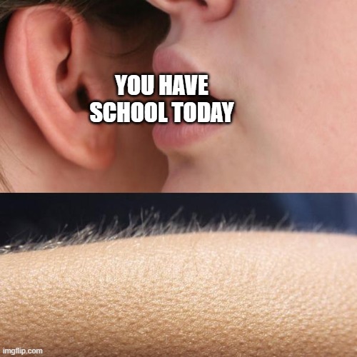 The Fact That I Made This On A Saturday Though | YOU HAVE SCHOOL TODAY | image tagged in whisper and goosebumps,school,class,meme,fun,memes | made w/ Imgflip meme maker