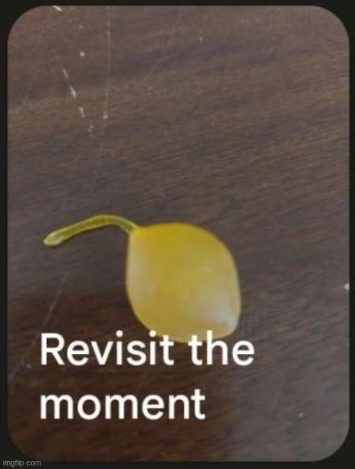 revisit the lemon sperm | made w/ Imgflip meme maker