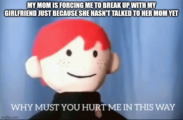 why must you hurt me in this way | MY MOM IS FORCING ME TO BREAK UP WITH MY GIRLFRIEND JUST BECAUSE SHE HASN'T TALKED TO HER MOM YET | image tagged in why must you hurt me in this way | made w/ Imgflip meme maker