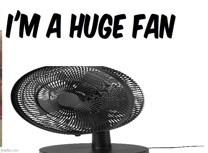 I'm a Huge fan | image tagged in fan,mrbeast,also,meme | made w/ Imgflip meme maker