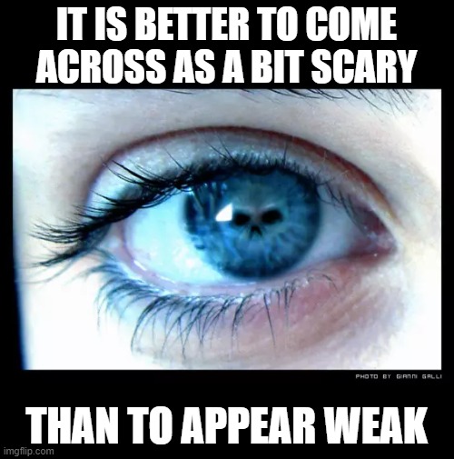 IT IS BETTER TO COME ACROSS AS A BIT SCARY; THAN TO APPEAR WEAK | image tagged in strength,scary | made w/ Imgflip meme maker