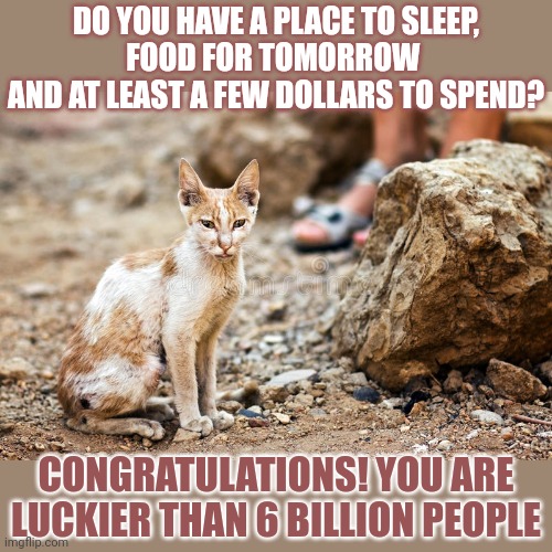 This #lolcat wonders if you know how fortunate you are | DO YOU HAVE A PLACE TO SLEEP,
FOOD FOR TOMORROW 
AND AT LEAST A FEW DOLLARS TO SPEND? CONGRATULATIONS! YOU ARE LUCKIER THAN 6 BILLION PEOPLE | image tagged in rich people,wealth,lolcat,think about it,gratitude | made w/ Imgflip meme maker