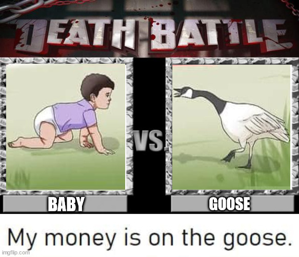 BABY; GOOSE | image tagged in death battle,dark humor | made w/ Imgflip meme maker