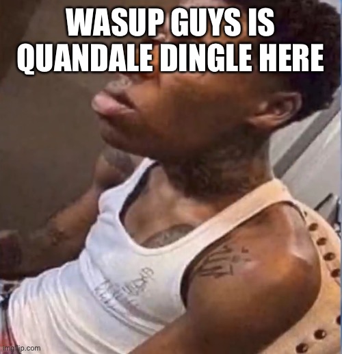 Quandale Dingle | WASUP GUYS IS QUANDALE DINGLE HERE | image tagged in quandale dingle | made w/ Imgflip meme maker
