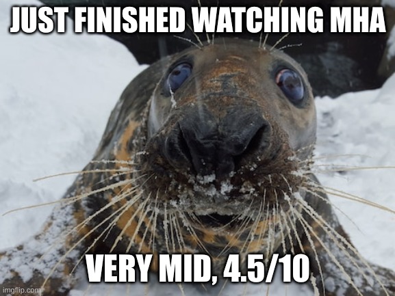 the entirety of it is either boob shots, yelling, crying, or fighting | JUST FINISHED WATCHING MHA; VERY MID, 4.5/10 | image tagged in his name's bim bim | made w/ Imgflip meme maker