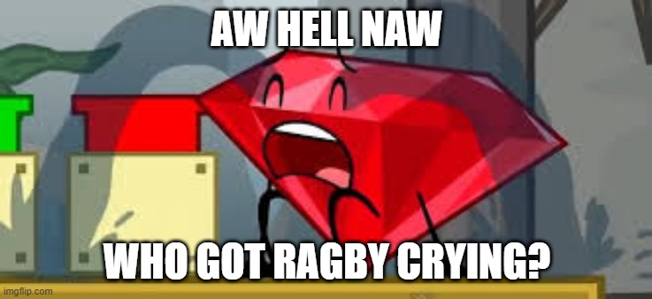 A BFDI meme in the style of a spunch bop meme because I'm bored. | AW HELL NAW; WHO GOT RAGBY CRYING? | image tagged in bfdi ruby crying,bfdi,spunch bop | made w/ Imgflip meme maker