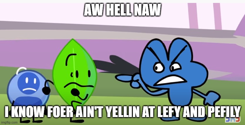 SMH | AW HELL NAW; I KNOW FOER AIN'T YELLIN AT LEFY AND PEFILY | image tagged in bfb meme,spunch bop | made w/ Imgflip meme maker
