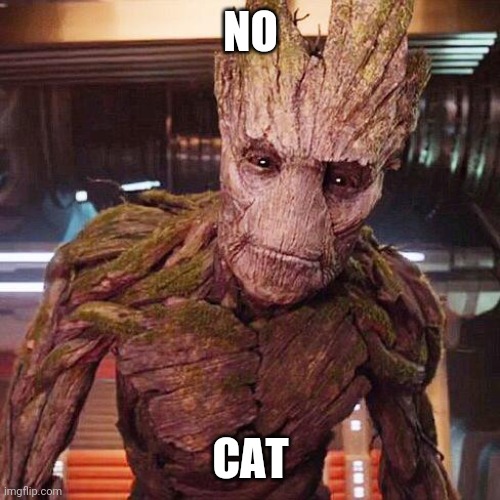 Groot Guardians of the Galaxy | NO CAT | image tagged in groot guardians of the galaxy | made w/ Imgflip meme maker