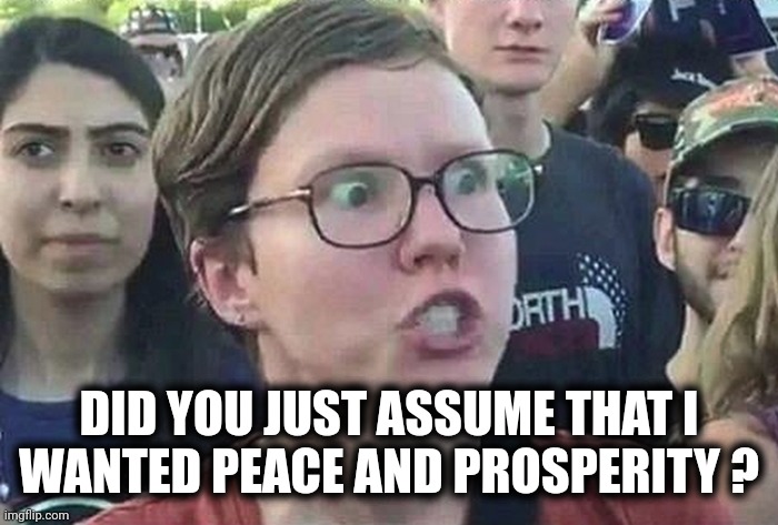 Triggered Liberal | DID YOU JUST ASSUME THAT I
WANTED PEACE AND PROSPERITY ? | image tagged in triggered liberal | made w/ Imgflip meme maker
