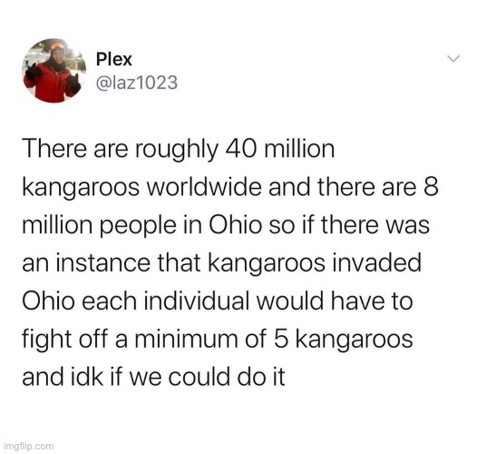 Gather all kangaroos | image tagged in memes,unfunny | made w/ Imgflip meme maker