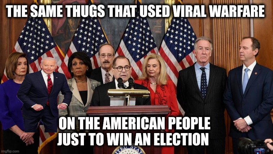 House Democrats | THE SAME THUGS THAT USED VIRAL WARFARE ON THE AMERICAN PEOPLE JUST TO WIN AN ELECTION | image tagged in house democrats | made w/ Imgflip meme maker