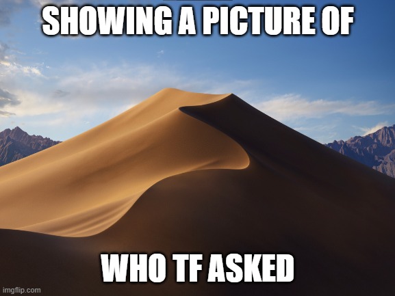 who asked | SHOWING A PICTURE OF; WHO TF ASKED | image tagged in que perguntou | made w/ Imgflip meme maker