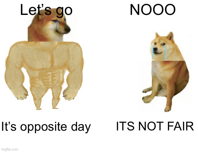 Opposite day | Let’s go; NOOO; It’s opposite day; ITS NOT FAIR | image tagged in memes,buff doge vs cheems,opposite day | made w/ Imgflip meme maker