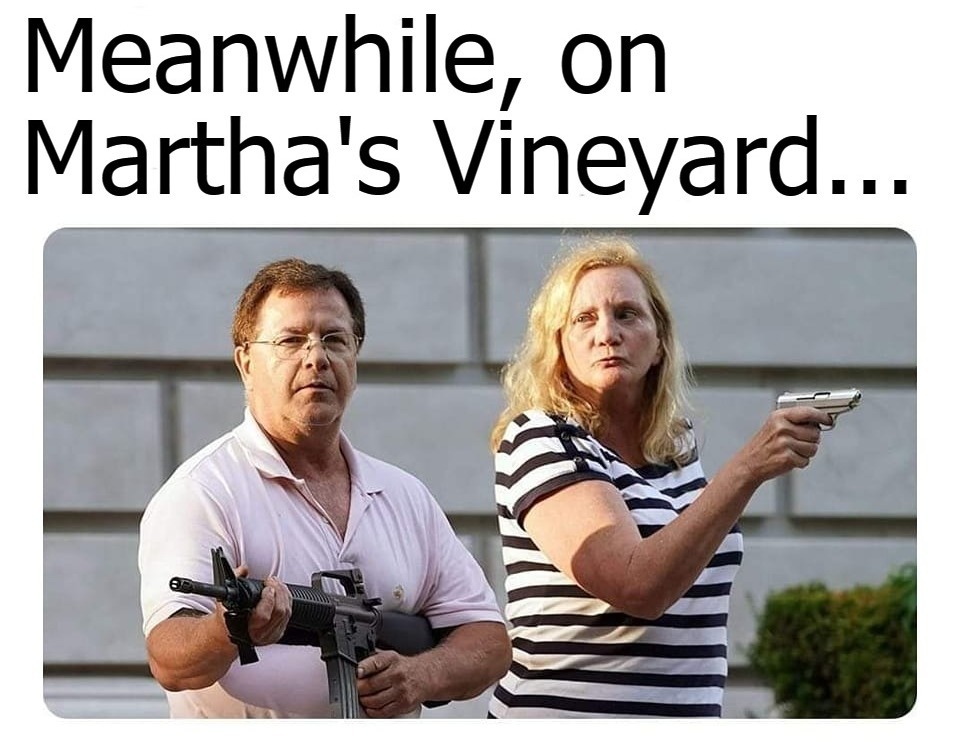 Meanwhile, on Martha's Vineyard... | image tagged in meanwhile in,marthas vineyard,liberal hypocrisy,sundown town,racism,demokkkrats | made w/ Imgflip meme maker