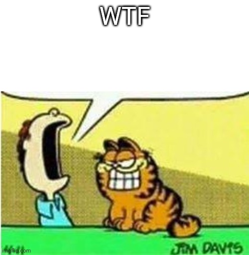 John Yelling at Garfield | WTF | image tagged in john yelling at garfield | made w/ Imgflip meme maker