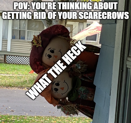Scarecrow Meme | POV: YOU'RE THINKING ABOUT GETTING RID OF YOUR SCARECROWS; WHAT THE HECK | image tagged in scarecrow meme | made w/ Imgflip meme maker