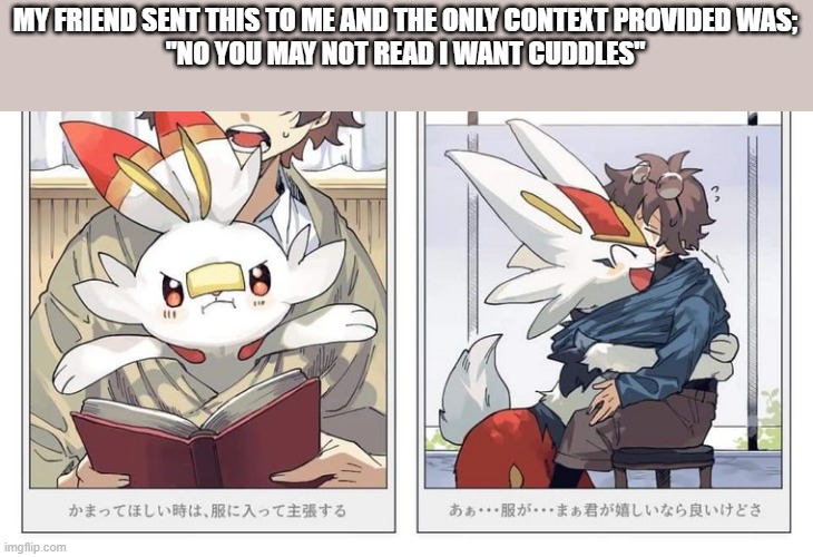 MY FRIEND SENT THIS TO ME AND THE ONLY CONTEXT PROVIDED WAS;
"NO YOU MAY NOT READ I WANT CUDDLES" | made w/ Imgflip meme maker