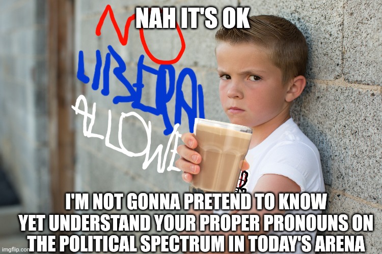 NAH IT'S OK I'M NOT GONNA PRETEND TO KNOW YET UNDERSTAND YOUR PROPER PRONOUNS ON THE POLITICAL SPECTRUM IN TODAY'S ARENA | made w/ Imgflip meme maker