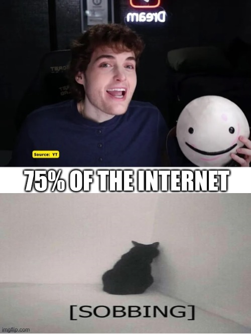 75% OF THE INTERNET | image tagged in dream,dream face reveal,crying cat | made w/ Imgflip meme maker