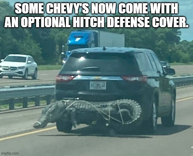 hitch cover | SOME CHEVY'S NOW COME WITH AN OPTIONAL HITCH DEFENSE COVER. | image tagged in funny | made w/ Imgflip meme maker