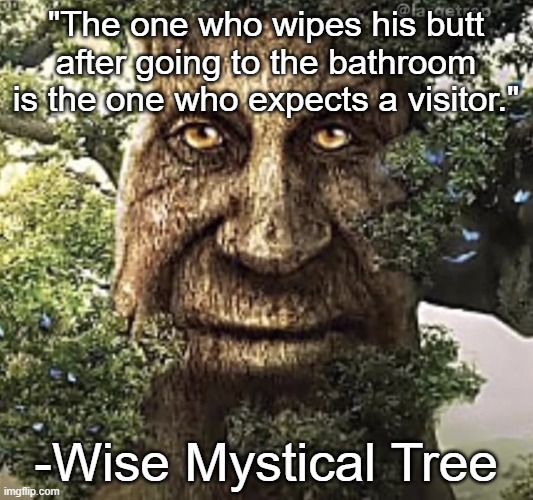 Where Did The Photo Of The 'Wise Mystical Tree' Come From And What