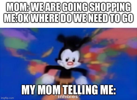 Yakko inhale | MOM: WE ARE GOING SHOPPING
ME:OK WHERE DO WE NEED TO GO; MY MOM TELLING ME: | image tagged in yakko inhale | made w/ Imgflip meme maker